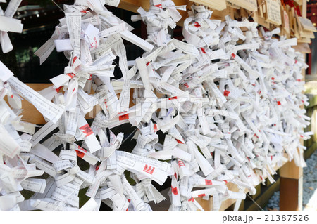 渋谷　金王八幡宮　おみくじ 21387526