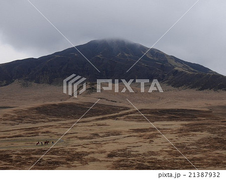 初春の阿蘇草千里 初春の阿蘇草千里 21387932