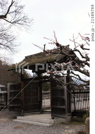 法輪寺　舞台への門 21389769