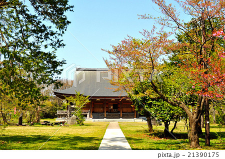 五智国分寺：新潟県上越市 21390175