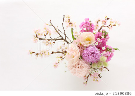 桜とヒヤシンスとチューリップとストックのアレンジ(横 全体) 桜とヒヤシンスとチューリップとストックのアレンジ(横 全体) 21390886