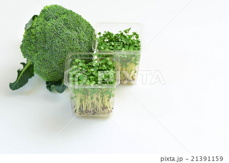 ブロッコリースプラウトとブロッコリー 21391159