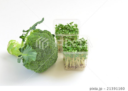 ブロッコリースプラウトとブロッコリー 21391160
