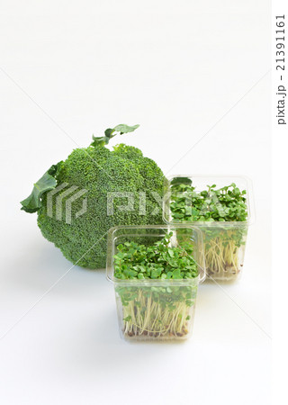 ブロッコリースプラウトとブロッコリー 21391161