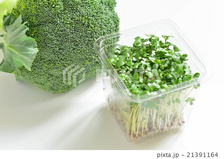 ブロッコリースプラウトとブロッコリー 21391164