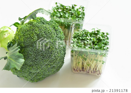 ブロッコリーとブロッコリースプラウト 21391178