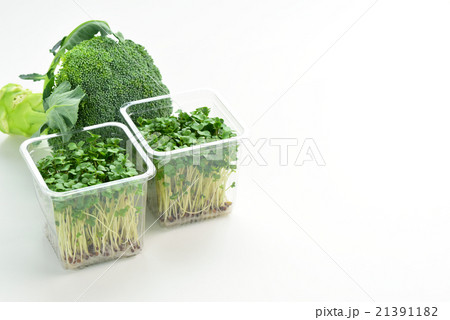 ブロッコリースプラウトとブロッコリー 21391182