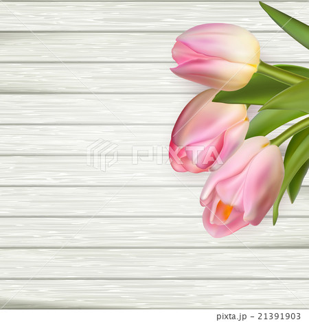 Pink tulips on wooden background. EPS 10 Pink tulips on wooden background. EPS 10 21391903