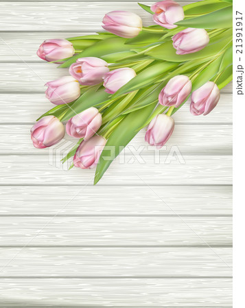 Fresh pink tulips. EPS 10 Fresh pink tulips. EPS 10 21391917