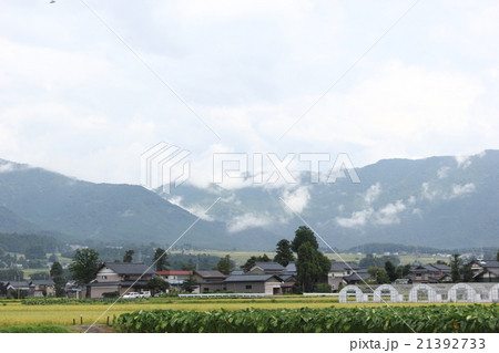 伏石のある塚原野台地遠望（福井県 大野市 塚原野台地） 21392733