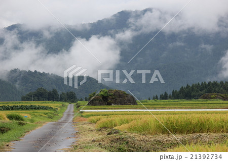 伏石のある風景 火砕流跡(福井県 大野市 塚原野台地) 伏石のある風景 火砕流跡(福井県 大野市 塚原野台地) 21392734