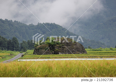 伏石のある風景 火砕流跡(福井県 大野市 塚原野台地) 伏石のある風景 火砕流跡(福井県 大野市 塚原野台地) 21392736