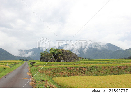 伏石のある風景 火砕流跡（福井県 大野市 塚原野台地） 21392737