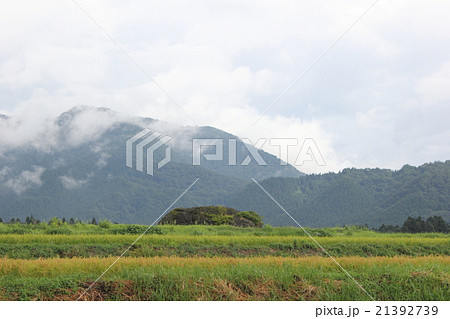 伏石のある風景 火砕流跡(福井県 大野市 塚原野台地) 伏石のある風景 火砕流跡(福井県 大野市 塚原野台地) 21392739