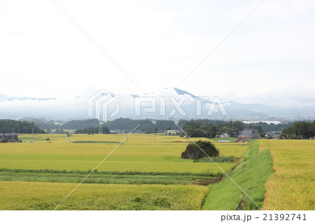 伏石のある風景 火砕流跡(福井県 大野市 塚原野台地) 伏石のある風景 火砕流跡(福井県 大野市 塚原野台地) 21392741