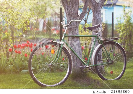 USSR retro bicycle in spring garden 21392860