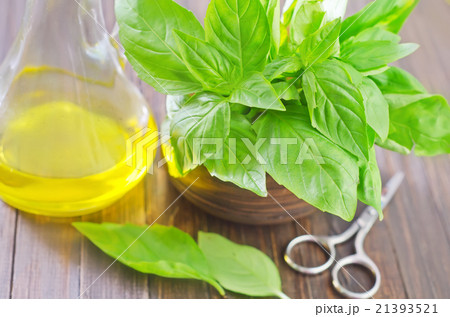 basil basil 21393521