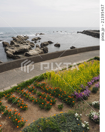 南房総市和田浦の風景 21395437