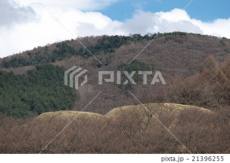 弘法山古墳　西側からの遠望 21396255