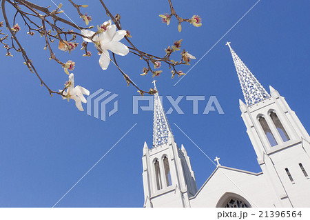 木蓮と不池カトリック教会 木蓮と不池カトリック教会 21396564