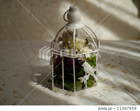 紫と白のプリザーブドフラワー 21397959