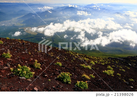富士山須走口の下山途中のオンタデと丹沢方面の山並み 21398026