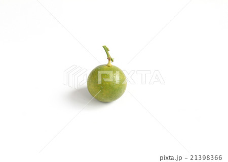 Kumquat on white background 21398366