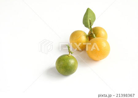 Kumquat on white background 21398367