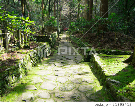 犬鳴山 七宝瀧寺 犬鳴山 七宝瀧寺 21398412
