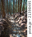 大阪　高城山のハイキングコース 21398495