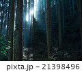 大阪　高城山の木々 21398496