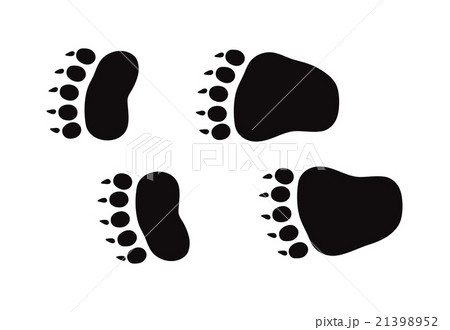 Animal foot prints and tracks isolated steps 21398952