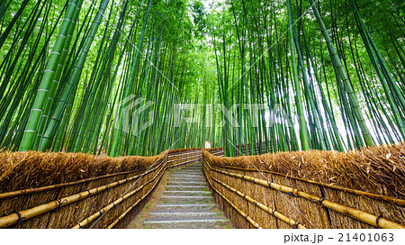 Path to bamboo forest, Arashiyama, Kyoto, Japan Path to bamboo forest, Arashiyama, Kyoto, Japan 21401063