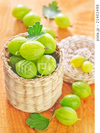 gooseberry gooseberry 21401499