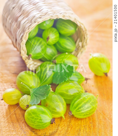 gooseberry gooseberry 21401500
