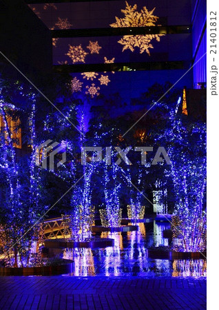 イルミネーション 21401812