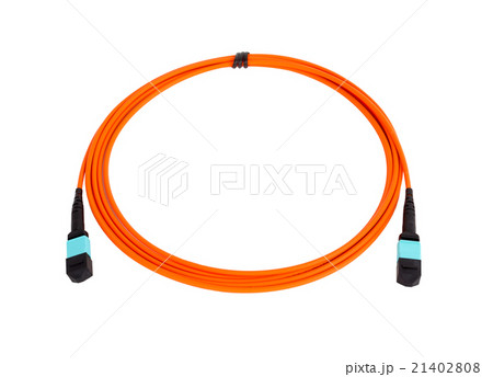 fiber optic MTP (MPO) pigtail, patchcord 21402808