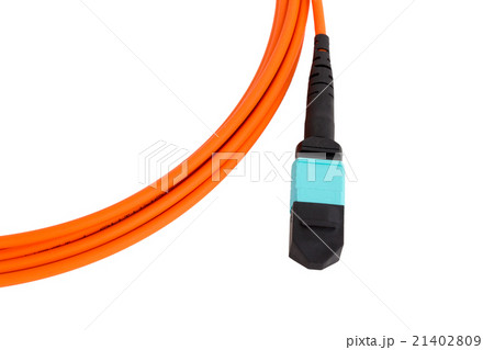 fiber optic MTP (MPO) pigtail, patchcord 21402809