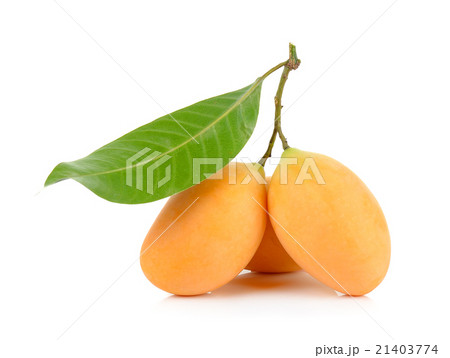 Marian plum thai fruit isolated on white 21403774
