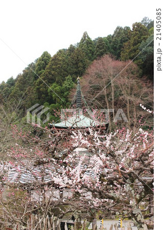 京都　法輪寺 21405085