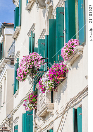 Flowers on windowsill and balcony in bright sun 21405627