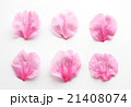 桜の花びら 21408074