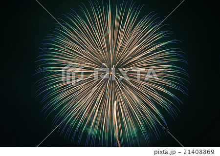 伊那祭り花火大会 伊那祭り花火大会 21408869