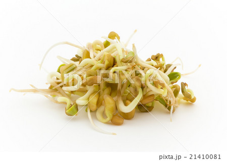 発芽フェヌグリーク: Sprouted Fenugreek(methi) 21410081