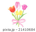 チューリップの花束 21410684