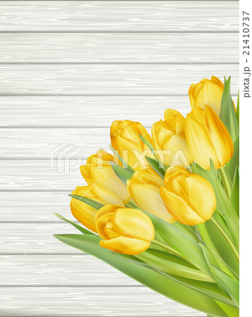 Yellow tulips. EPS 10 21410737
