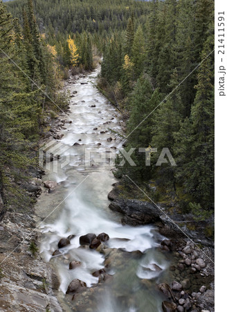 Athabasca River Rocky Mountains 21411591