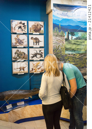 rear view of people in museum 21412421