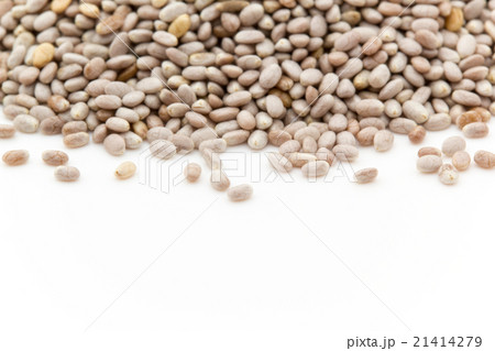 ホワイトチアシード:White Chia Seeds ホワイトチアシード:White Chia Seeds 21414279