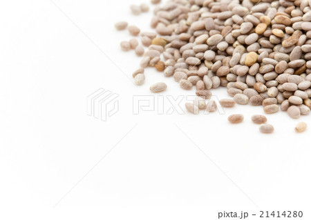 サルバチアシード:Salba Chia Seeds サルバチアシード:Salba Chia Seeds 21414280